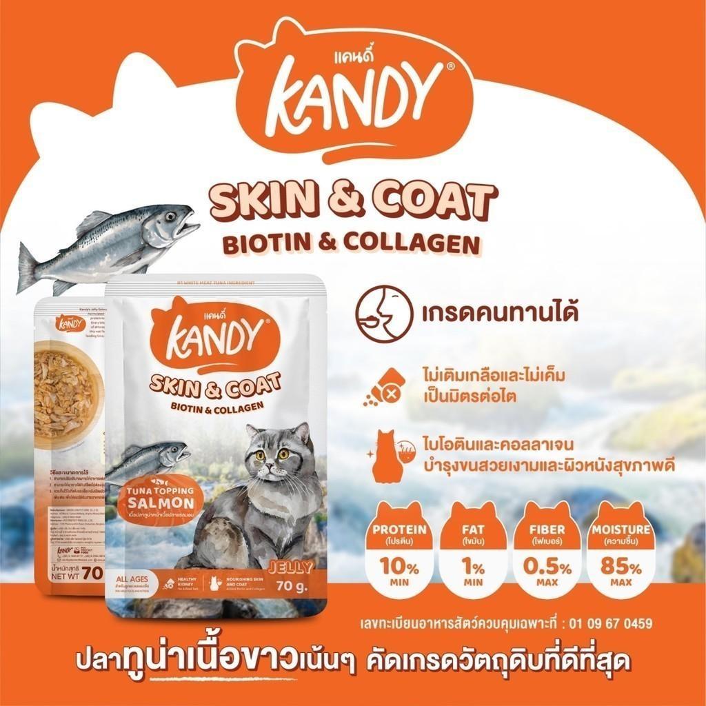 [ปลีก 1 ซอง] Kandy Pouch อาหารเปียกแมว แคนดี้ ผลิตจากปลาเนื้อขาว ขนาดซอง 70 กรัม(g.)