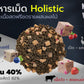 อาหารแมวเชียร์แชร์ โฮลิสติก Cheershare Holistic ขนาด 1.2-1.5 กก.