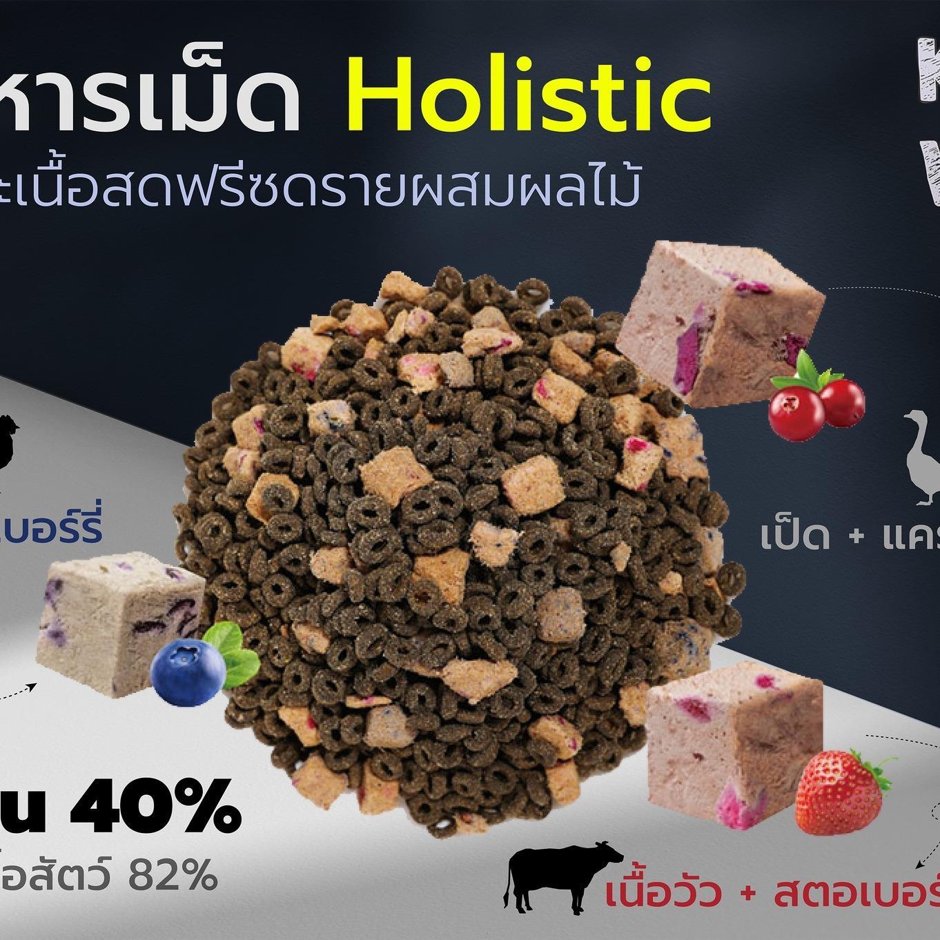 อาหารแมวเชียร์แชร์ โฮลิสติก Cheershare Holistic ขนาด 1.2-1.5 กก.