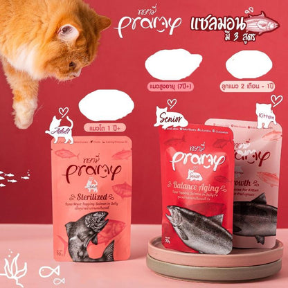 [ยกลัง 48 ซอง] Pramy Pouch Functional อาหารเปียกแมวพรามี่ ขนาดซอง 70 กรัม