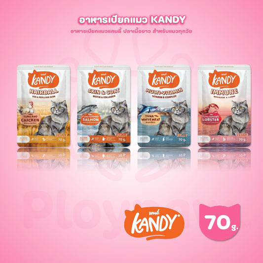 [ปลีก 1 ซอง] Kandy Pouch อาหารเปียกแมว แคนดี้ ผลิตจากปลาเนื้อขาว ขนาดซอง 70 กรัม(g.)
