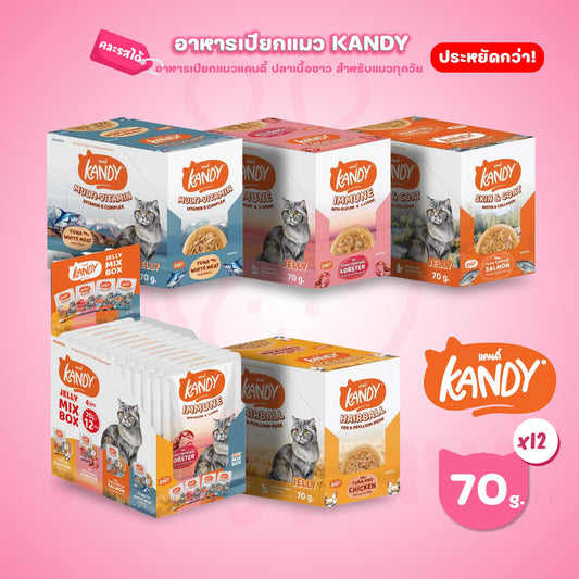 [ยกโหล 12 ซอง] Kandy Pouch อาหารเปียกแมว แคนดี้ ผลิตจากปลาเนื้อขาว ขนาดซอง 70 กรัม(g.)