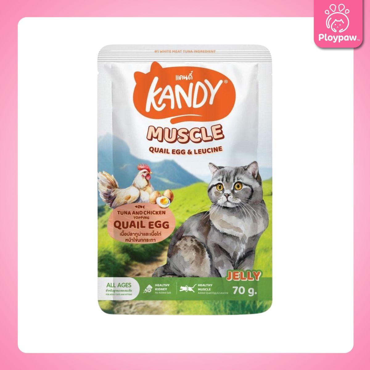 [ปลีก 1 ซอง] Kandy Pouch อาหารเปียกแมว แคนดี้ ผลิตจากปลาเนื้อขาว ขนาดซอง 70 กรัม(g.)
