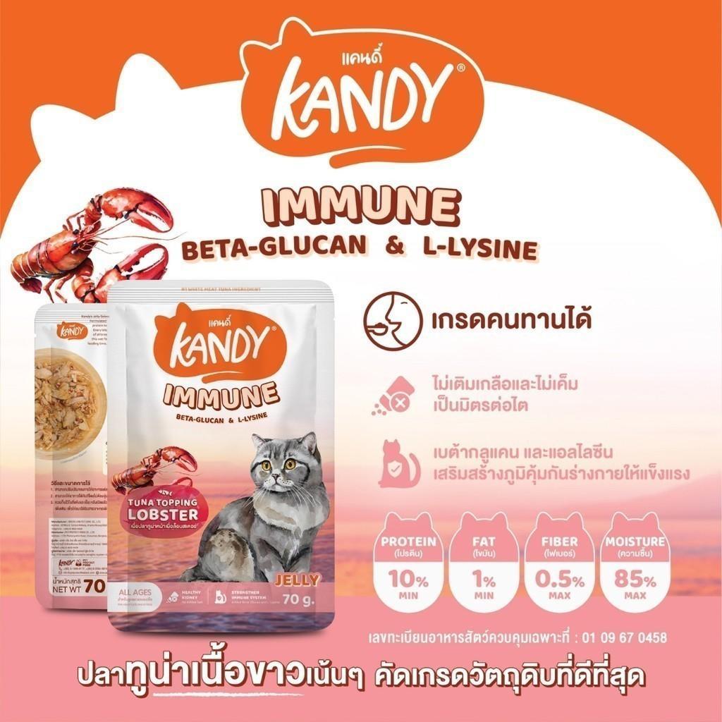 [ปลีก 1 ซอง] Kandy Pouch อาหารเปียกแมว แคนดี้ ผลิตจากปลาเนื้อขาว ขนาดซอง 70 กรัม(g.)