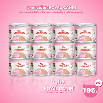 [ยกถาด 12 กระป๋อง] Royal Canin Starter Mother & Baby Cat Can Tray อาหารเปียกแม่แมวตั้งท้อง-ให้นม และ ลูกแมว อายุต่ำกว่า 4 เดือน (เนื้อมูส, Canned Cat Food, โรยัล คานิน)