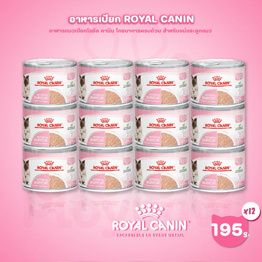 [ยกถาด 12 กระป๋อง] Royal Canin Starter Mother & Baby Cat Can Tray อาหารเปียกแม่แมวตั้งท้อง-ให้นม และ ลูกแมว อายุต่ำกว่า 4 เดือน (เนื้อมูส, Canned Cat Food, โรยัล คานิน)