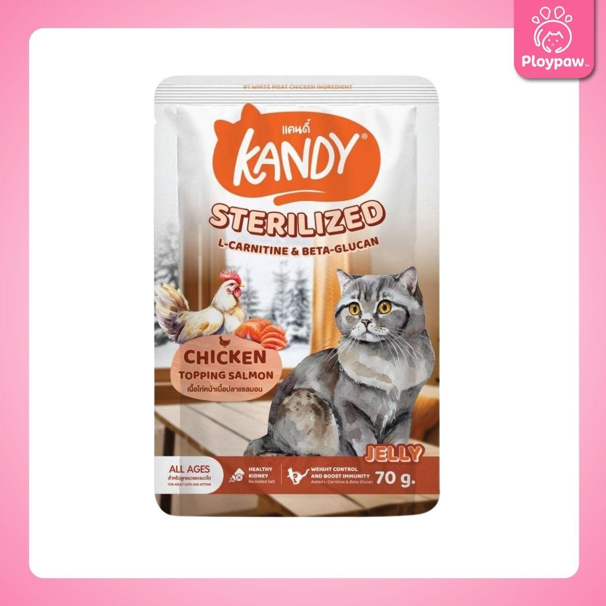 [ปลีก 1 ซอง] Kandy Pouch อาหารเปียกแมว แคนดี้ ผลิตจากปลาเนื้อขาว ขนาดซอง 70 กรัม(g.)