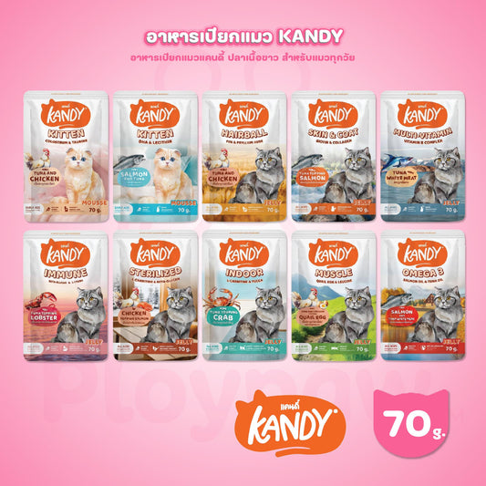 [ปลีก 1 ซอง] Kandy Pouch อาหารเปียกแมว แคนดี้ ผลิตจากปลาเนื้อขาว ขนาดซอง 70 กรัม(g.)