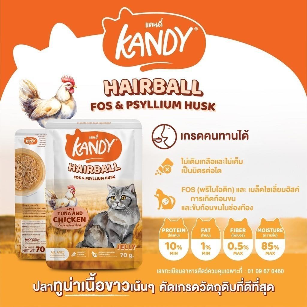 [ปลีก 1 ซอง] Kandy Pouch อาหารเปียกแมว แคนดี้ ผลิตจากปลาเนื้อขาว ขนาดซอง 70 กรัม(g.)