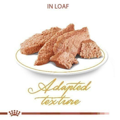 [ยกกล่อง 12 ซอง] Royal Canin Persian Pouch Loaf อาหารเปียกแมวโต พันธุ์เปอร์เซียน อายุ 12 เดือนขึ้นไป (โลฟเนื้อละเอียด, Wet Cat Food, โรยัล คานิน)