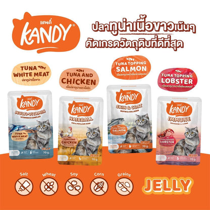 [ยกโหล 12 ซอง] Kandy Pouch อาหารเปียกแมว แคนดี้ ผลิตจากปลาเนื้อขาว ขนาดซอง 70 กรัม(g.)