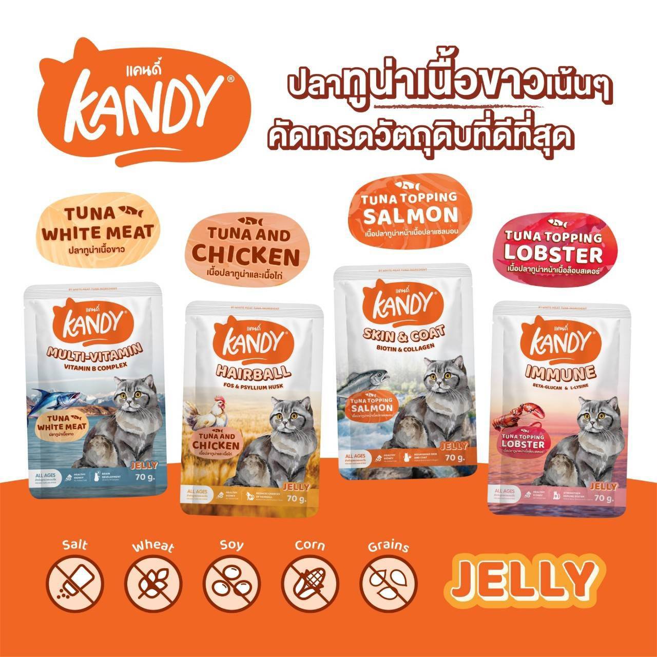 [ปลีก 1 ซอง] Kandy Pouch อาหารเปียกแมว แคนดี้ ผลิตจากปลาเนื้อขาว ขนาดซอง 70 กรัม(g.)