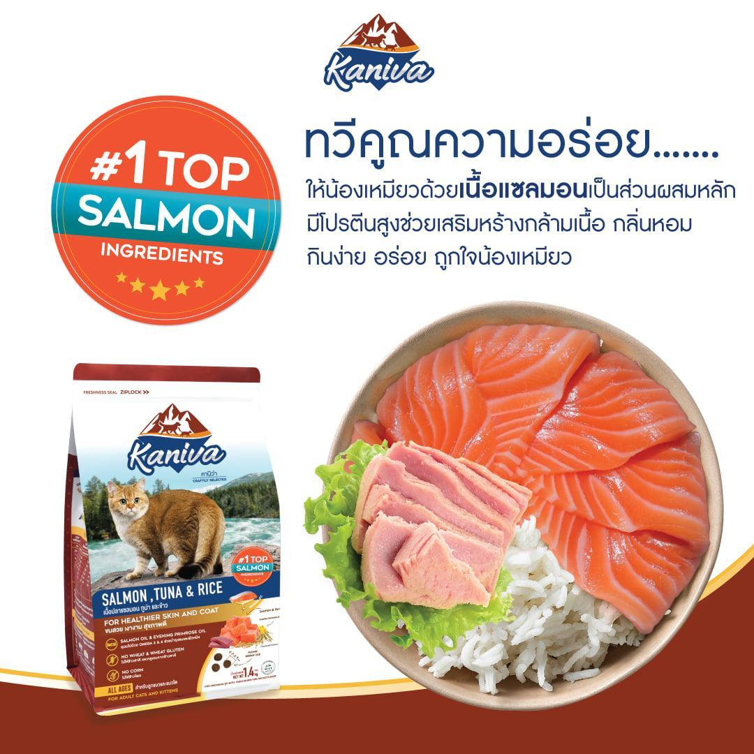 [L] อาหารแมวคานิว่า Kaniva ถุงแพ็คเกจขนาดใหญ่ ขนาด 2.7-3.2 กก. สำหรับแมวทุกช่วงวัย ทุกสายพันธุ์