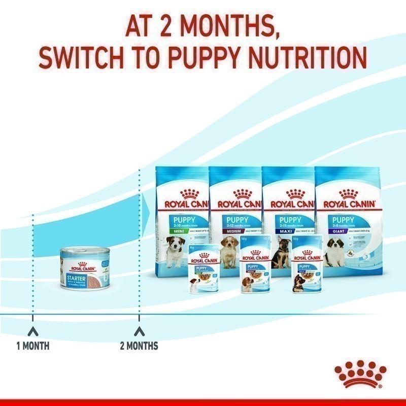 [1 กระป๋อง] Royal Canin Starter Mousse อาหารเปียกแม่สุนัข ตั้งท้อง 6 สัปดาห์ขึ้นไป - ให้นม และ ลูกสุนัขหย่านม อายุ 1-2 เดือน (เนื้อมูส, Canned Dog Food, โรยัล คานิน) โรยัล