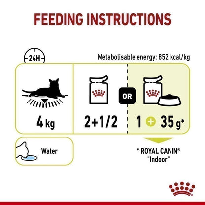 [ยกกล่อง 12 ซอง] Royal Canin Sensory Smell Pouch อาหารเปียกแมวโต กินอาหารยาก เลือกกิน กลิ่นหอมพิเศษ อายุ 12 เดือนขึ้นไป (,Wet Cat Food, โรยัล คานิน)