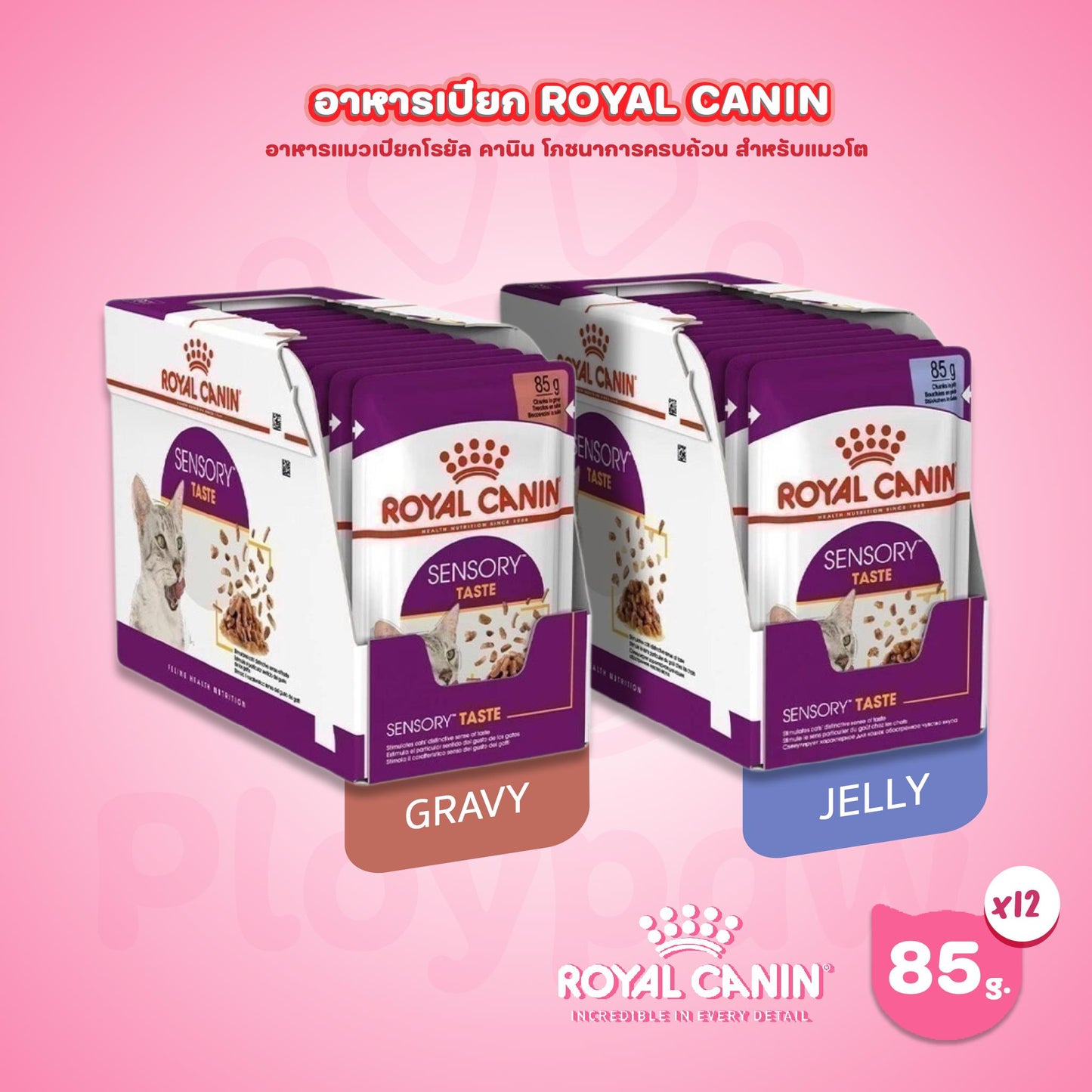 [ยกกล่อง 12 ซอง] Royal Canin Sensory Taste Pouch อาหารเปียกแมวโต กินอาหารยาก เลือกกิน รสชาติพิเศษ อายุ 12 เดือนขึ้นไป (Wet Cat Food, โรยัล คานิน) โรยัล