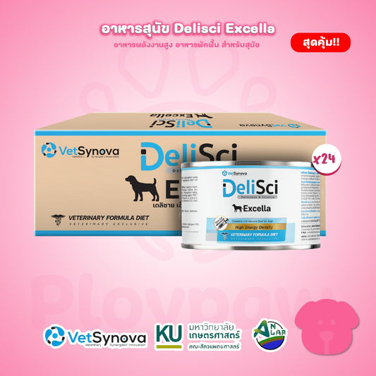 [ยกลัง 24 กระป๋อง] DeliSci Excella อาหารฟื้นฟูสําหรับสัตว์ป่วย ขาดสารอาหาร และพักฟื้นหลังการผ่าตัด ที่ต้องการพลังงานสูง (RECOVERY)