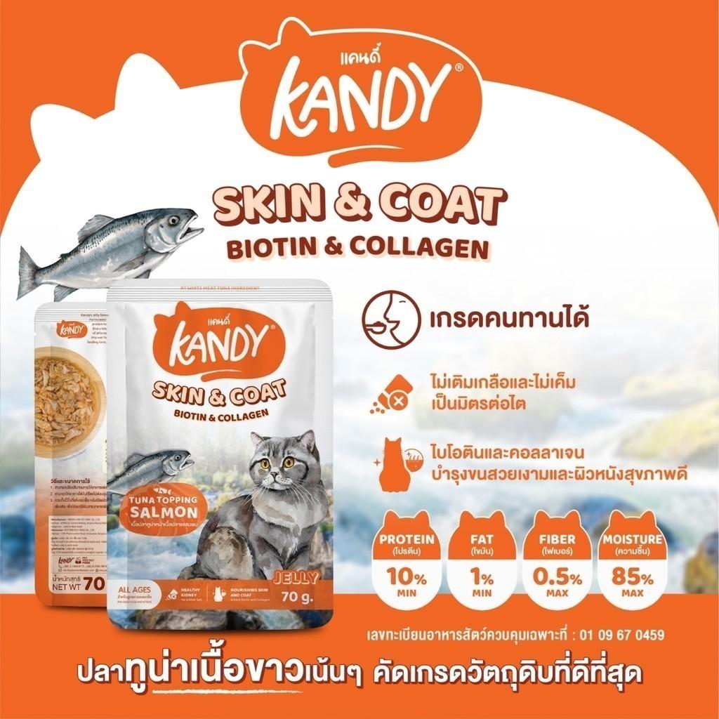 [ยกโหล 12 ซอง] Kandy Pouch อาหารเปียกแมว แคนดี้ ผลิตจากปลาเนื้อขาว ขนาดซอง 70 กรัม(g.)