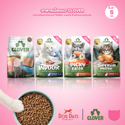 [L] Clover Ultra Holistic อาหารแมวโคลเวอร์ โฮลิสติก เกรนฟรี ขนาด 4.2-5 กก.