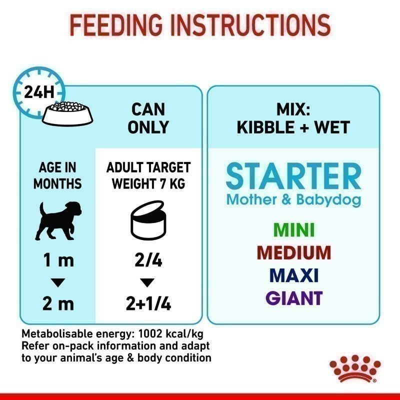 [ยกถาด 12 กระป๋อง] Royal Canin Starter Mousse อาหารเปียกแม่สุนัข ตั้งท้อง 6 สัปดาห์ขึ้นไป - ให้นม และ ลูกสุนัขหย่านม อายุ 1-2 เดือน (เนื้อมูส, Canned Dog Food, โรยัล คานิน) โรยัล