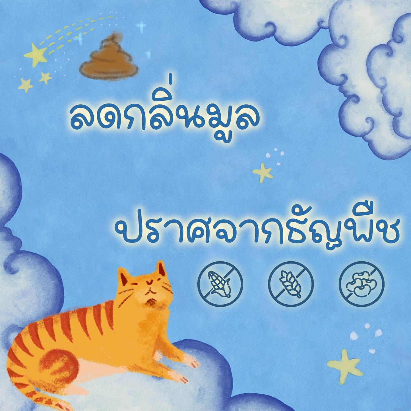 [1kg.] Buzz Netura Holistic อาหารแมวบัซซ์ ขนาด 1 กก.(kg.) อาหารแมวโฮลิสติก เกรนฟรี อาหาร  แมว