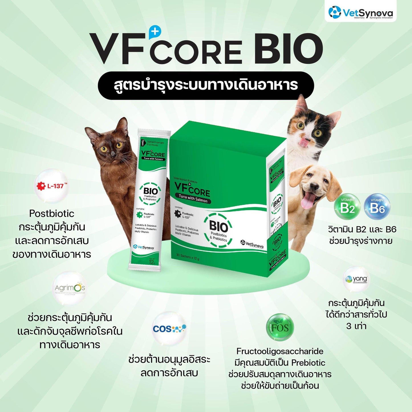 [ขายปลีก] VF+ Core ขนมแมวเลีย วีเอฟพลัส คอร์ อาหารเสริมรูปแบบขนมแมวเลีย วิตามินรวม เสริมภูมิคุ้มกัน ขนาด 12กรัม/ซอง