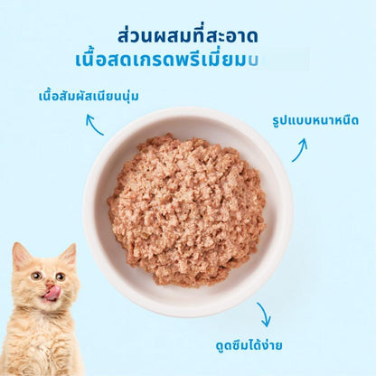 [ยกโหล 12 ซอง] MR.VET อาหารเปียกแมว ไม่มีการปรุงรส ไม่ใส่วัตถุกันเสีย ขนาดซอง 70 กรัม