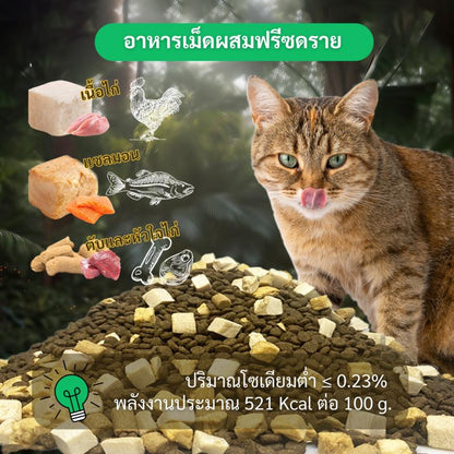 [1 Kg.] Bite of Wild อาหารแมว Holistic 1Kg Grain Free โปรตีน 42% อาหารเม็ดผสมฟรีซดราย 3 ชนิด ได้แก่ เนื้อไก่ ปลาแซลมอน ตับและหัวใจไก่ เหมาะสำหรับทุกช่วงวัย