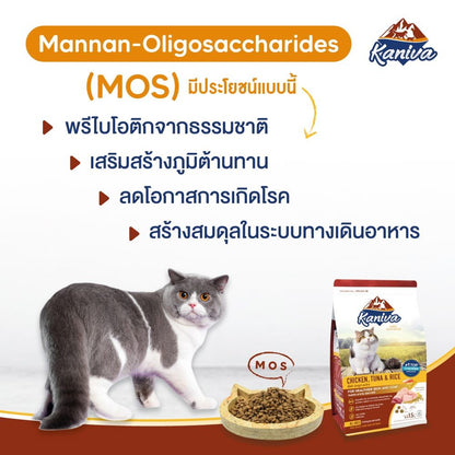 [S] Kaniva อาหารแมว คานิว่า พรีเมียม ครบทุกสูตร ปราศจากกลูเตน,ข้าวโพด,ขาวสาลี ขนาด 370-400 กรัม
