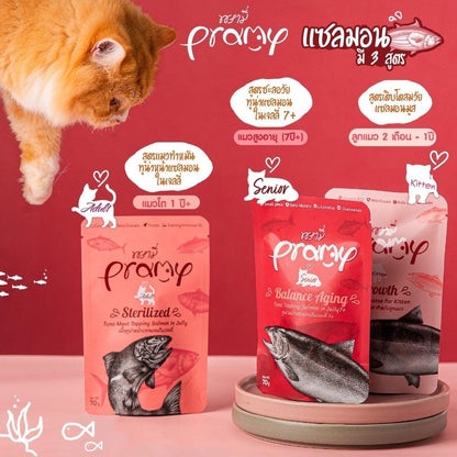 [1 ซอง] Pramy Functional อาหารเปียกแมว 70g พรามี่ สูตรสุขภาพ ลูกแมว แมวโต แมวสูงวัย
