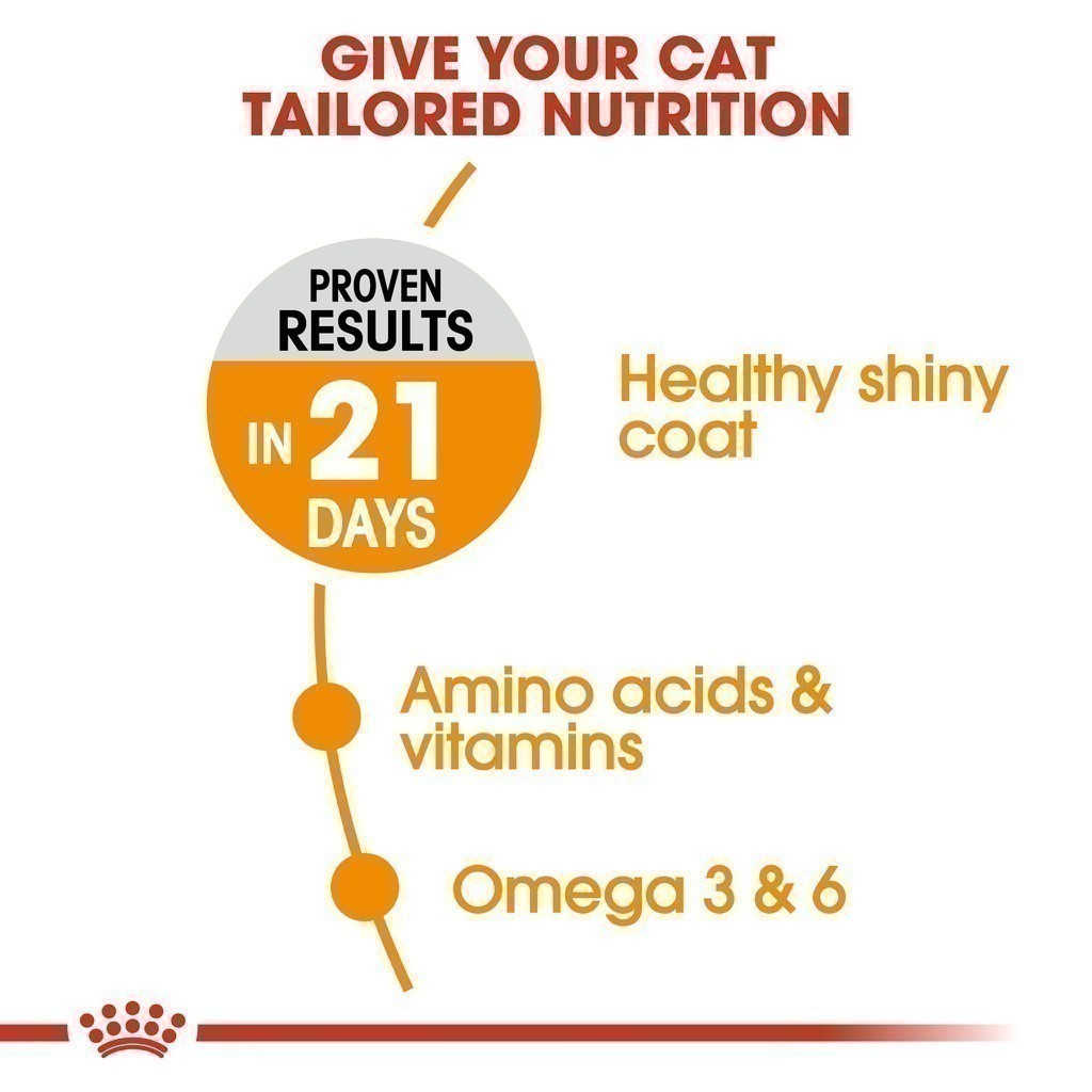 [2kg] Royal Canin Hair & Skin Care 2kg อาหารเม็ดแมวโต ดูแลผิวหนังและเส้นขน อายุ 1 ปีขึ้นไป (Dry Cat Food, โรยัล คานิน)