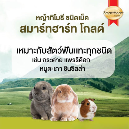 [500g.] สมาร์ทฮาร์ท โกลด์ หญ้ากระต่าย หญัาทิโมธี หญ้าอัลฟาฟ่า ชนิดเม็ด 500 กรัม / SmartHeart Gold Timothy Pellet 500g