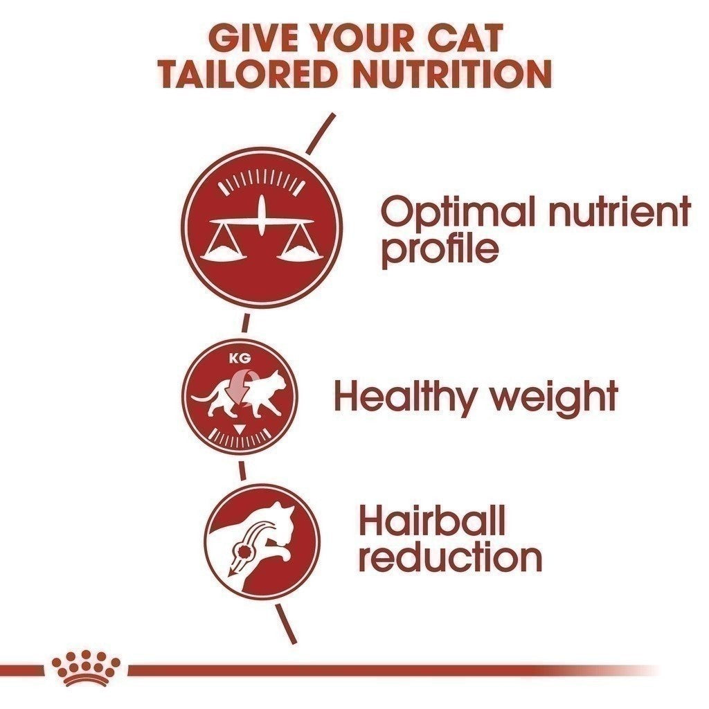 [10kg] Royal Canin Fit 10kg อาหารเม็ดแมวโต รูปร่างดี อายุ 1 ปีขึ้นไป (Dry Cat Food, โรยัล คานิน)