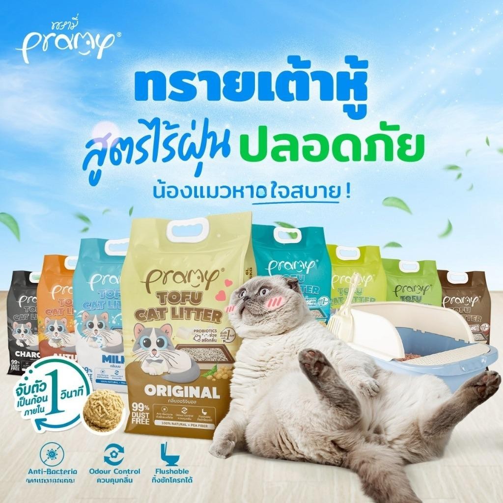 [6 ลิตร] Pramy ทรายแมวเต้าหู้ Dust Free 99% จับตัวเร็ว 1 วิ ทิ้งชักโครกได้ ทรายแมวไร้ฝุ่น โปรไบโอติก 6L 8 กลิ่น (Tofu)