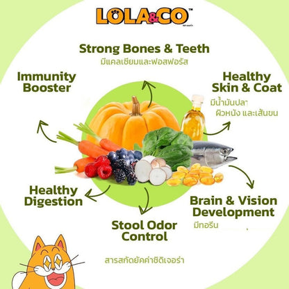[แพ็ค 5 ถุง] LOLA&CO อาหารแมว โลล่า แอนด์ โค อาหารเม็ดแมว สำหรับแมวโตอายุ 1 ปีขึ้นไป ขนาดถุง 1 กก.(kg.) จำนวน 5 ถุง