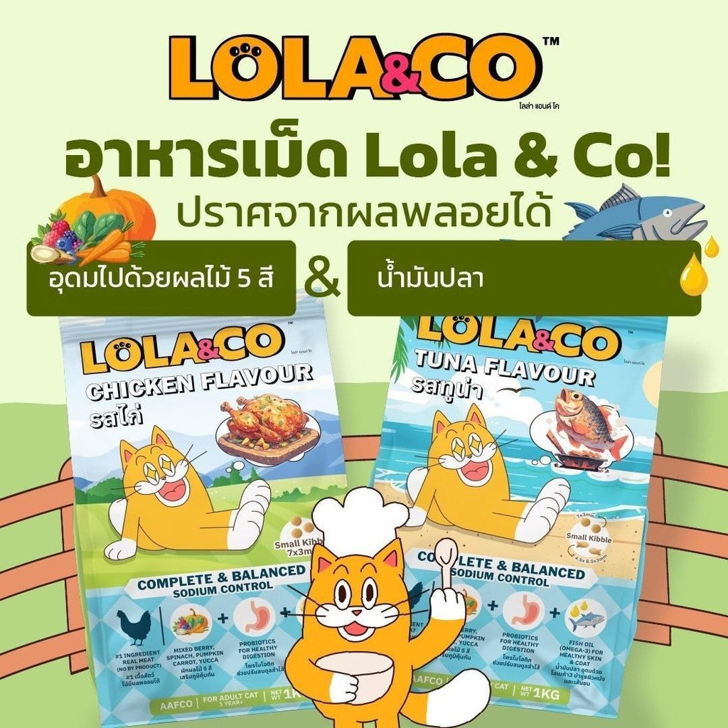 [แพ็ค 3 ถุง] LOLA&CO อาหารแมว โลล่า แอนด์ โค อาหารเม็ดแมว สำหรับแมวโตอายุ 1 ปีขึ้นไป ขนาดถุง 1 กก.(kg.) * 3 ถุง
