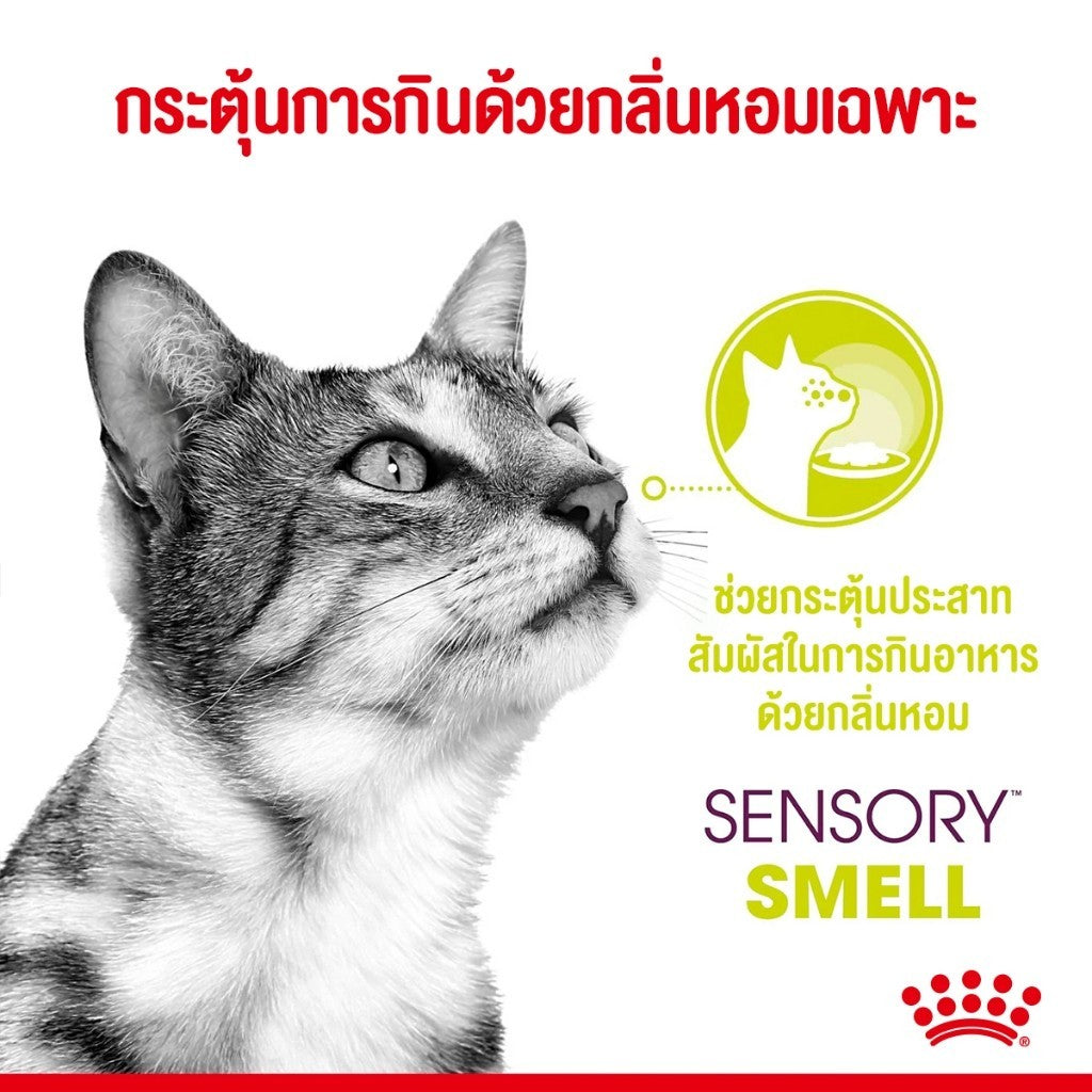[ยกโหล 12 ซอง] Royal Canin Sensory Multipack อาหารเปียกแมวโต รวม 3 สูตร Smell Feel Taste แบบเกรวี่ อายุ 1 ปีขึ้น