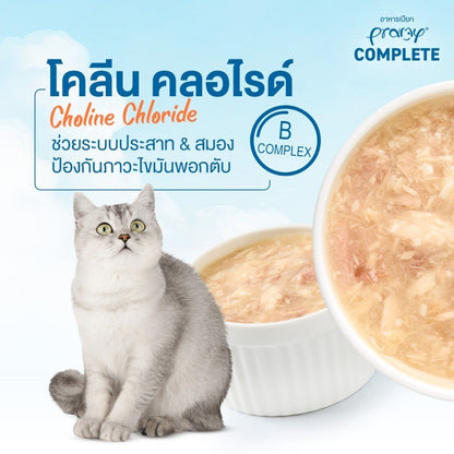 [ยกลัง 48 ซอง] Pramy อาหารเปียกแมวพรามี่ สูตร Complete & Balance ขนาด 60 กรัม (Cat Wet Food,Pramy,Balance,Complete)