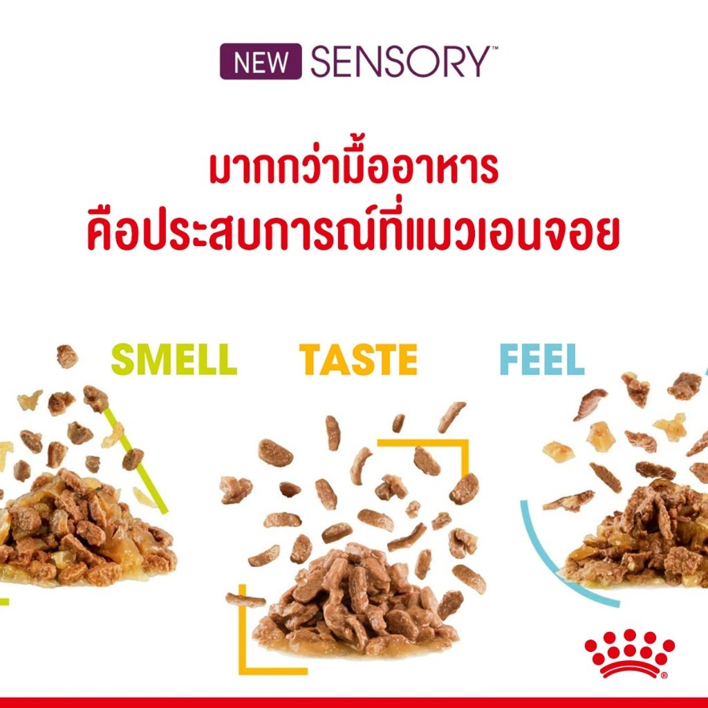 [ยกโหล 12 ซอง] Royal Canin Sensory Multipack อาหารเปียกแมวโต รวม 3 สูตร Smell Feel Taste แบบเกรวี่ อายุ 1 ปีขึ้น