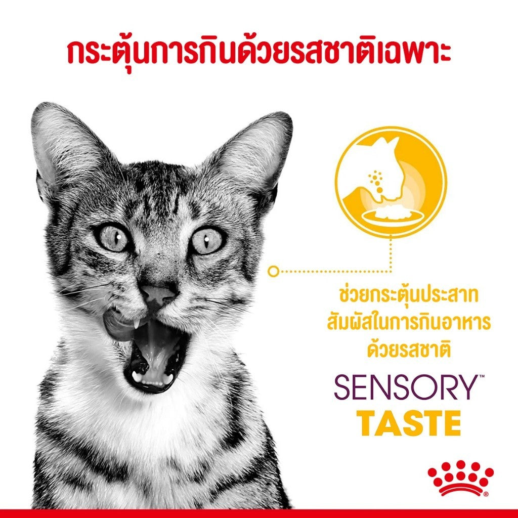 [ยกโหล 12 ซอง] Royal Canin Sensory Multipack อาหารเปียกแมวโต รวม 3 สูตร Smell Feel Taste แบบเกรวี่ อายุ 1 ปีขึ้น