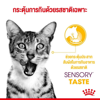 [ยกโหล 12 ซอง] Royal Canin Sensory Multipack อาหารเปียกแมวโต รวม 3 สูตร Smell Feel Taste แบบเกรวี่ อายุ 1 ปีขึ้น