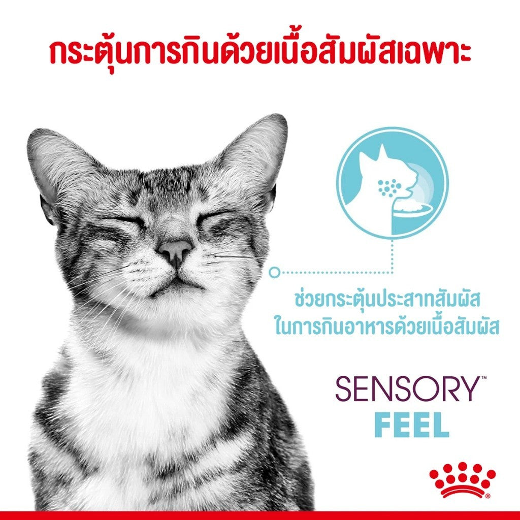 [ยกโหล 12 ซอง] Royal Canin Sensory Multipack อาหารเปียกแมวโต รวม 3 สูตร Smell Feel Taste แบบเกรวี่ อายุ 1 ปีขึ้น