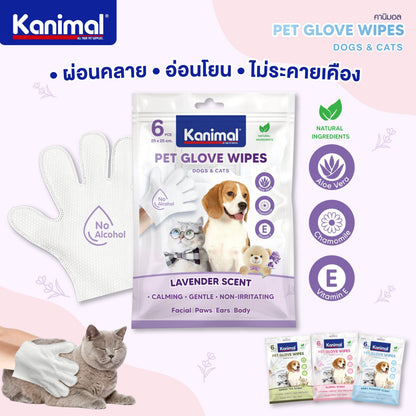 Kanimal Pet Glove Wipes ถุงมืออาบน้ำแห้ง ใช้งานง่าย อ่อนโยน ไม่ระคายเคือง สำหรับสัตว์เลี้ยง (6 Pcs / Pack)