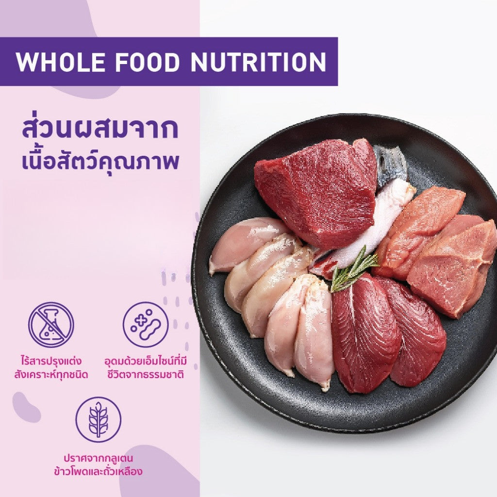 Kelly&Co's เคลลี่แอนด์โค คาร์นิไบท์ (Carni-bite) ขนมฟรีซดรายแบบนิ่มเพื่อสุขภาพ สำหรับแมว ขนาด 10 กรัม
