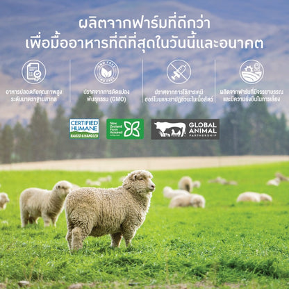 Kelly&Co's เคลลี่แอนด์โค คาร์นิไบท์ (Carni-bite) ขนมฟรีซดรายแบบนิ่มเพื่อสุขภาพ สำหรับแมว ขนาด 10 กรัม