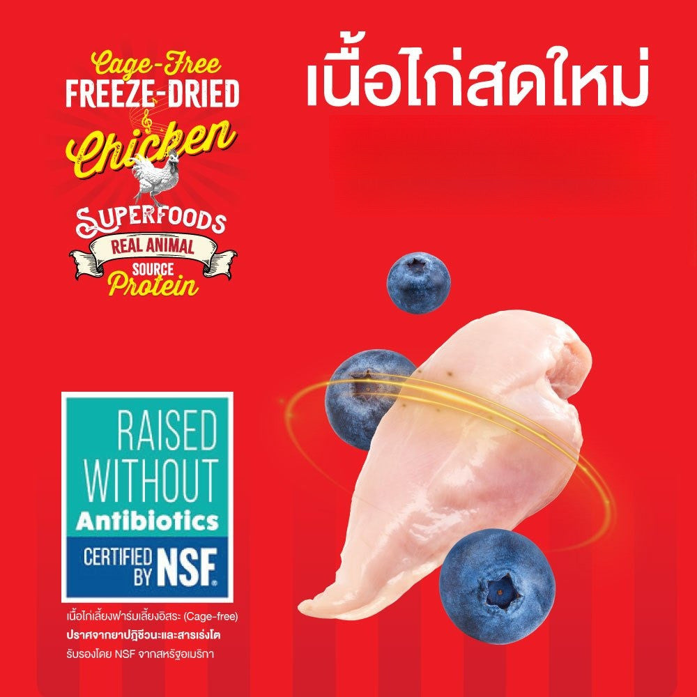 Kelly’s Stick [1 แพ็ค] เคลลี่แอนด์โค สติ๊กส์ ขนมแท่งฟรีซดราย ซุปเปอร์ฟู้ด อร่อยและดีต่อสุขภาพ ขนาด 50 กรัม