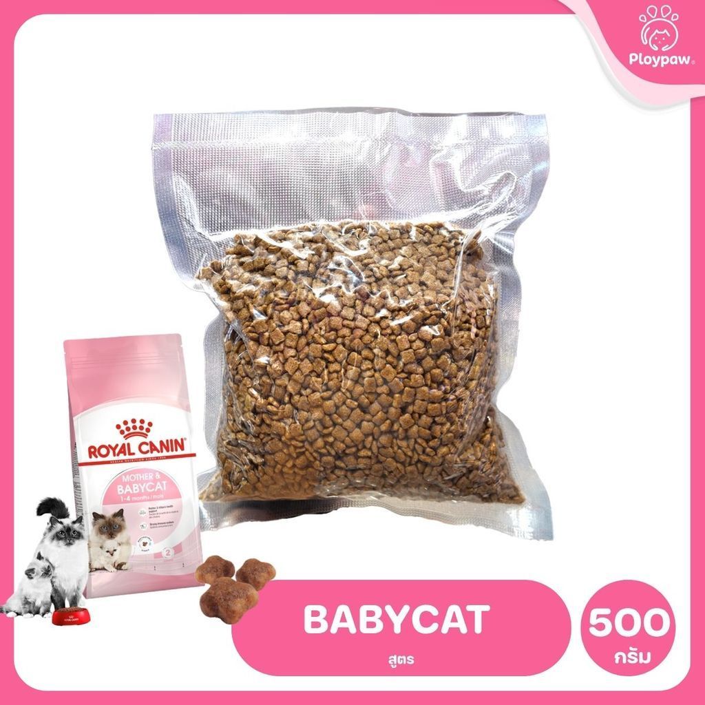 [ถุงแบ่ง 500ก.] Royal Canin Starter Mother&Baby Cat อาหารลูกแมวอายุต่ำกว่า 4 เดือน (Dry Cat Food,โรยัล คานิน)