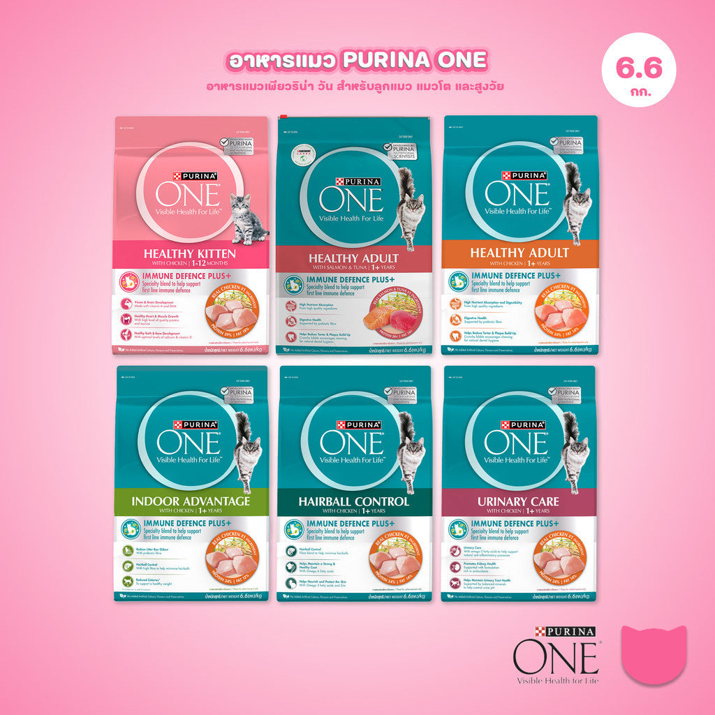 [6.6 กก.] อาหารแมว เพียวริน่าวัน Purina One เกรดพรีเมี่ยม ขนาด 6.6 กก.(Cat Dry Food,Premium,Purina)