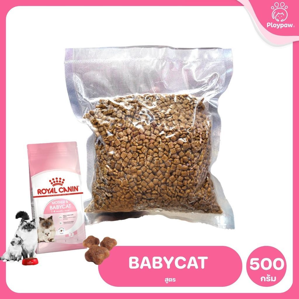 [ถุงแบ่ง 500ก.] ROYAL CANIN อาหารแมว รอยัลคานิน อาหารเม็ดแมว ขนาด 500ก. (Dry Cat Food, โรยัล คานิน,ถุงแบ่ง)