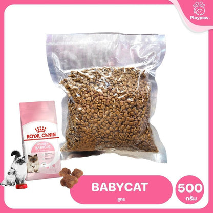 [ถุงแบ่ง 500ก.] ROYAL CANIN อาหารแมว รอยัลคานิน อาหารเม็ดแมว ขนาด 500ก. (Dry Cat Food, โรยัล คานิน,ถุงแบ่ง)